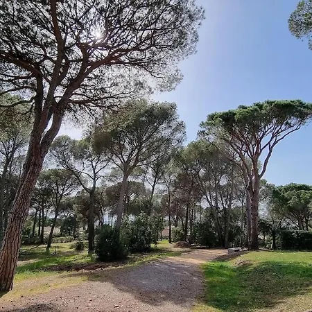 Chez K&d By Antoine Lägenhet